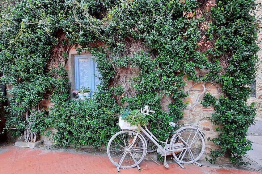 Discovering Leonardo DaVinci's Origins & Tasting among Vineyards