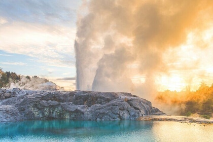 Te Puia and Polynesian Spa Rotorua Tour From Auckland