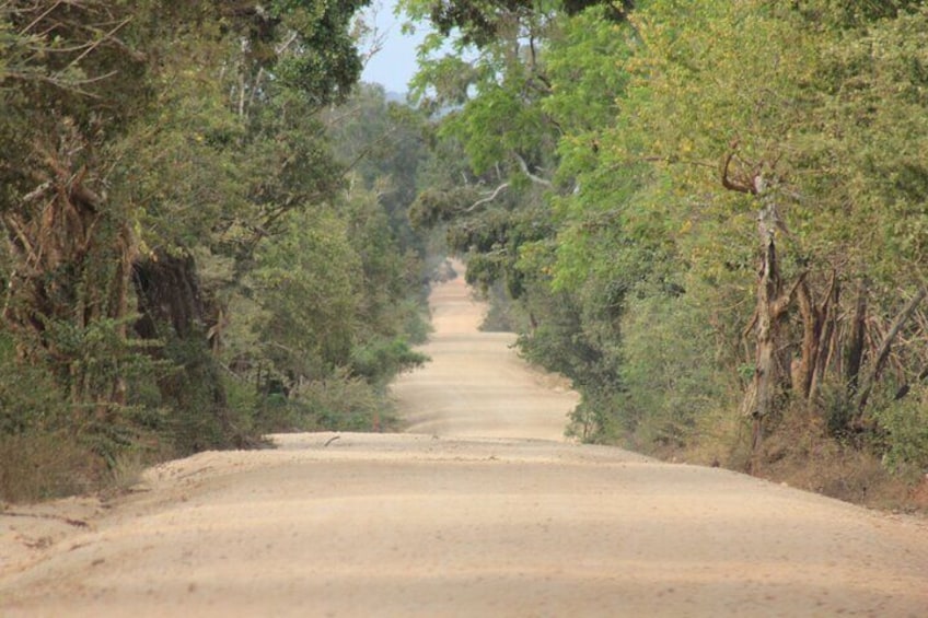 Yala National Park Safari with Transfer from Ella to Arugam Bay