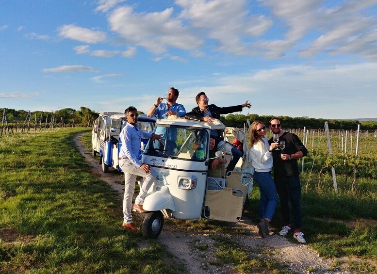 Picture 3 for Activity Exclusive wineyard Picknick overlooking Vienna