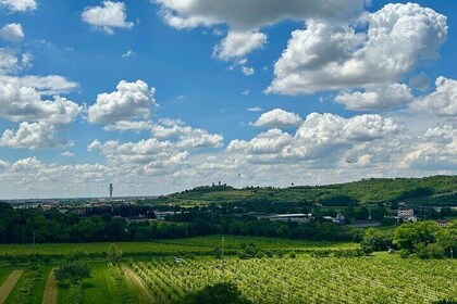 Italian cooking lesson in the hills of Verona