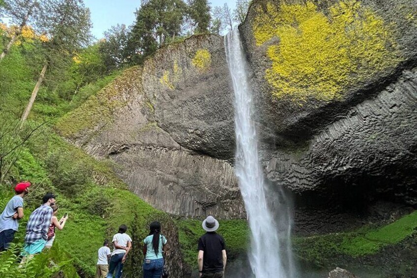 Multnomah Falls 6 Waterfalls and Crown Point Tour