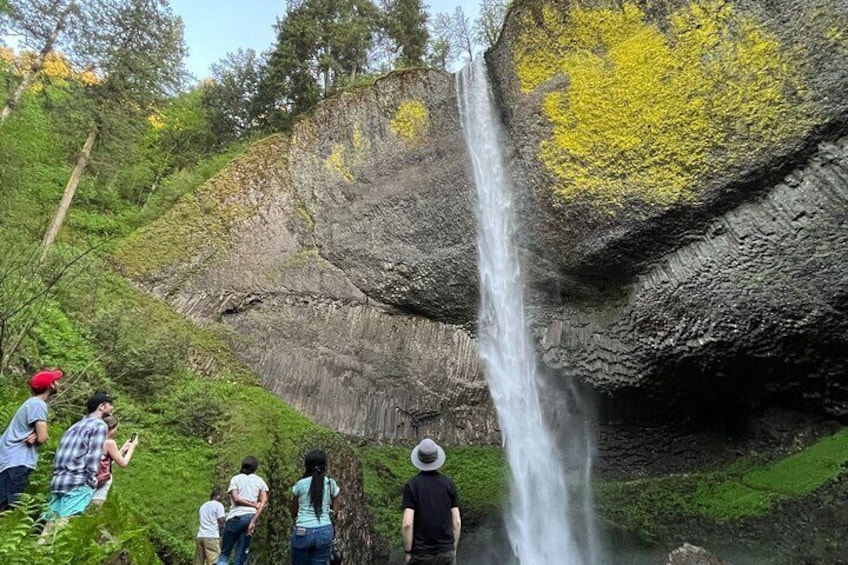 Multnomah Falls 6 Waterfalls and Crown Point Tour