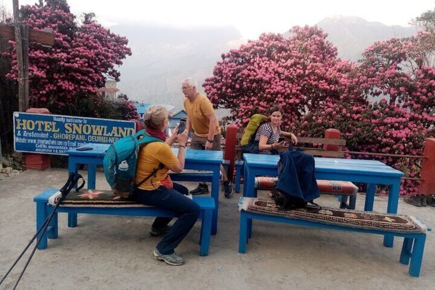 Enjoying guests during Poon Hill Trek