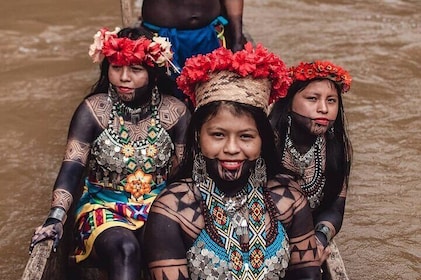 Embera Village Waterfalls and Alajuela Lake with Lunch Included