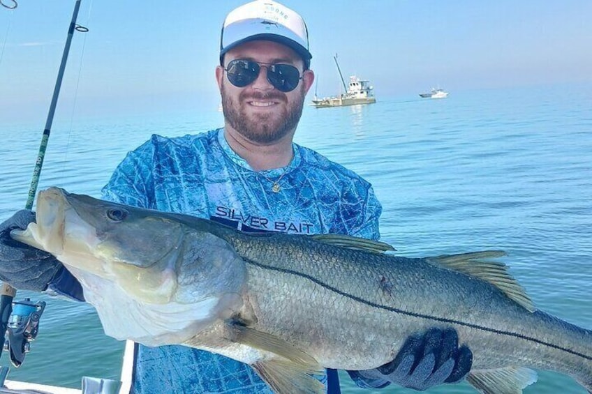 6 Hour Private Fishing Tour in Sarasota with Master Captain Bill