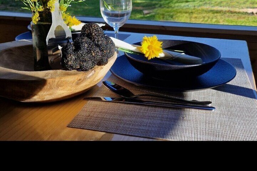  Truffle Hunting in Velebit with Gastronomic Experience