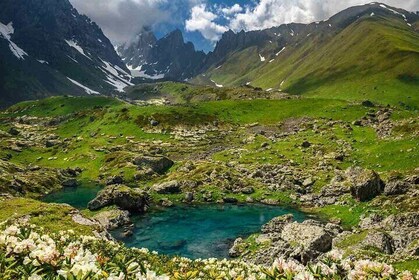 Private Ganztageswanderung von Tiflis nach Juta