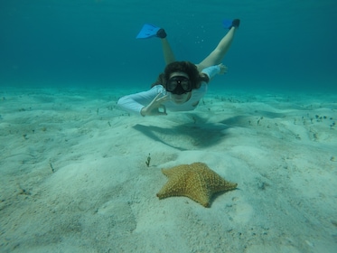 Playa de la isla Catalina y snorkel desde Punta Cana