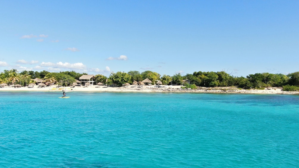 Catalina Island Beach and Snorkel from Punta Cana