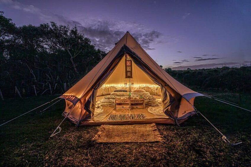 Nocturnal Wonders Tawharanui Kiwi Spotting and Stargazing Tour