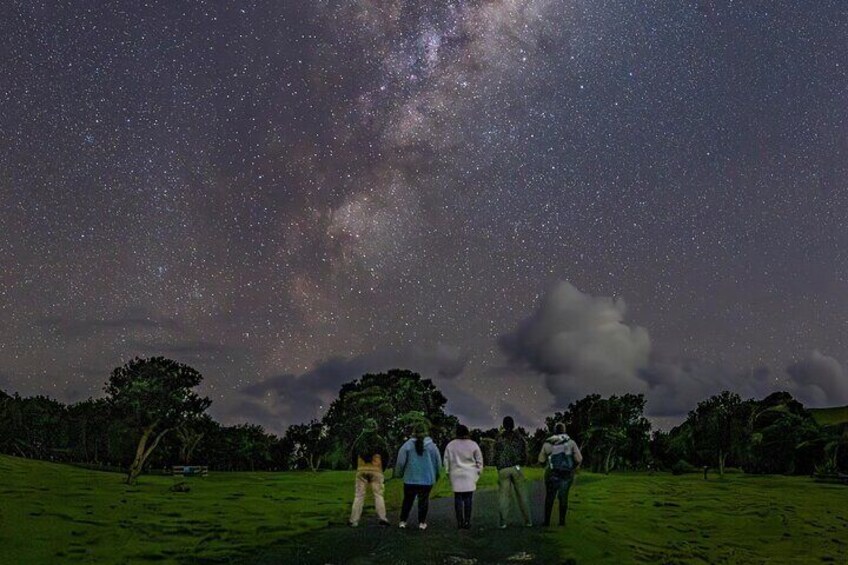 Nocturnal Wonders Tawharanui Kiwi Spotting and Stargazing Tour