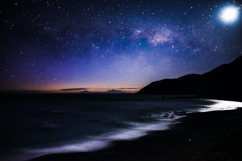 Nocturnal Wonders Tawharanui Kiwi Spotting and Stargazing Tour