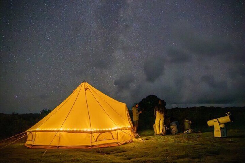 Nocturnal Wonders Tawharanui Kiwi Spotting and Stargazing Tour