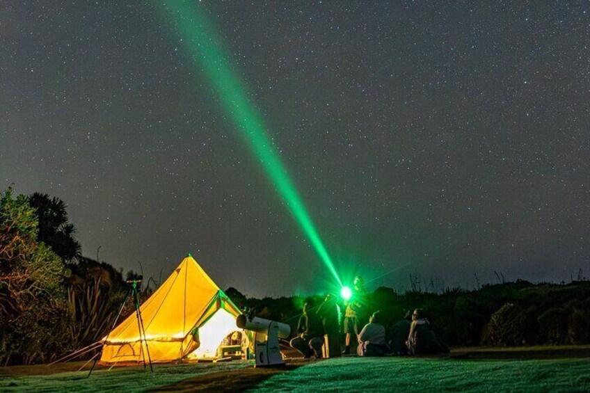 Nocturnal Wonders Tawharanui Kiwi Spotting and Stargazing Tour