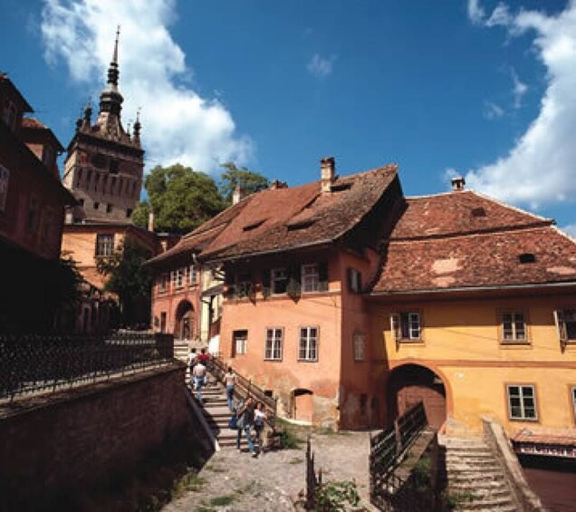 Transylvania's Undying legend - 5 days Private Dracula Tour