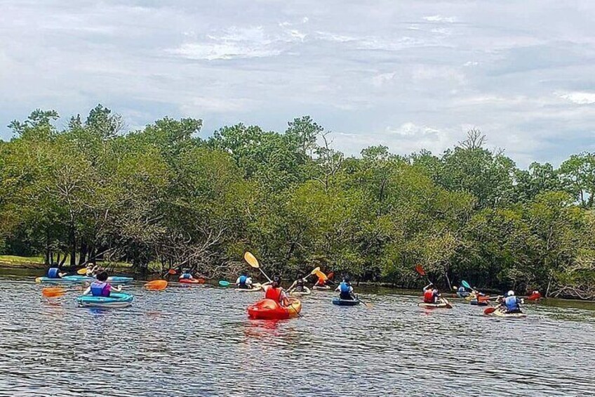 Kayak Island Tour