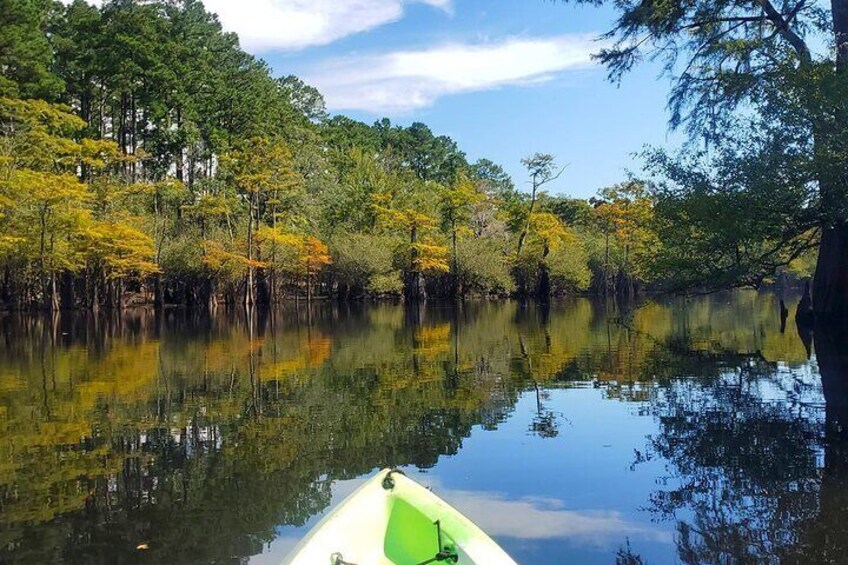 Kayak River Tour to a Private Island