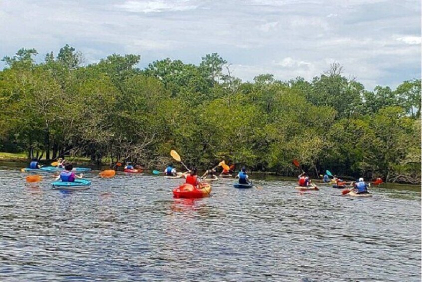 Kayak Island Tour