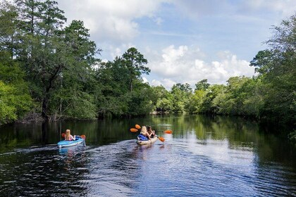 Kayak River Tour to a Private Island