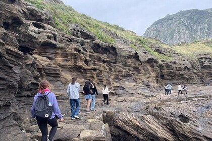 Jeju West Tour with Lunch and Entrance Included