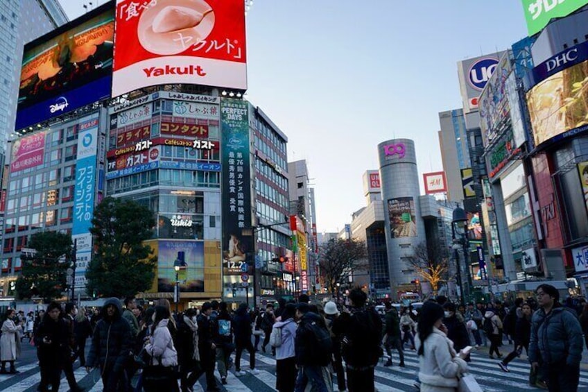 4 Days Shared Tour Visit of Tokyo