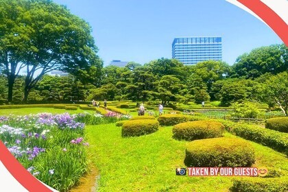 Tokyo Castle, Imperial Palace, Shogun & Garden Walking Tour