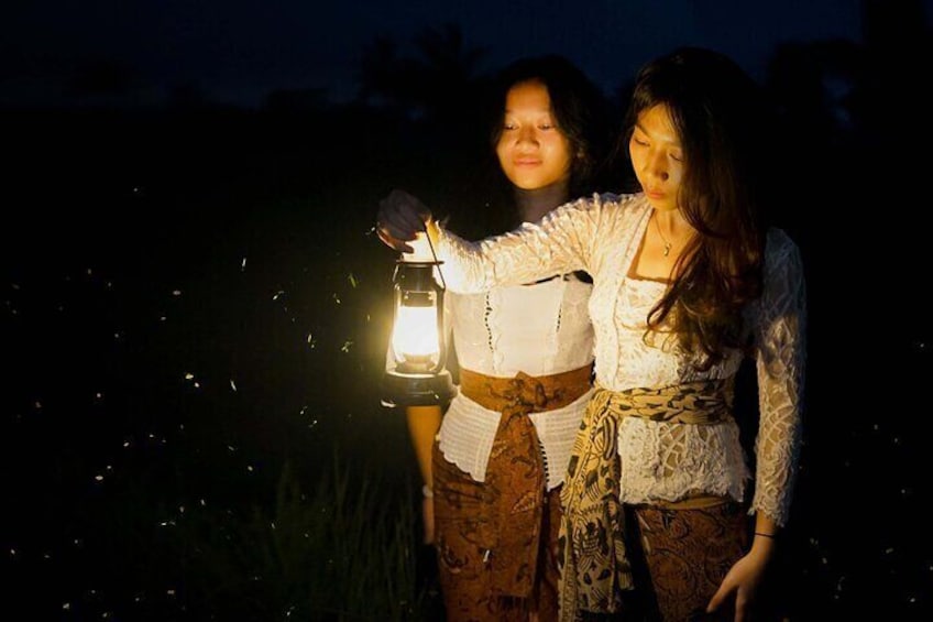 VIllage Firefly Night Tour - Ubud Bali