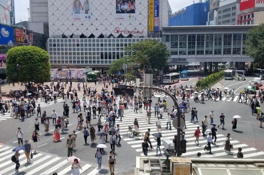 Shibuya Walking Tour in Anime, Fashion stores and Shrine in Tokyo