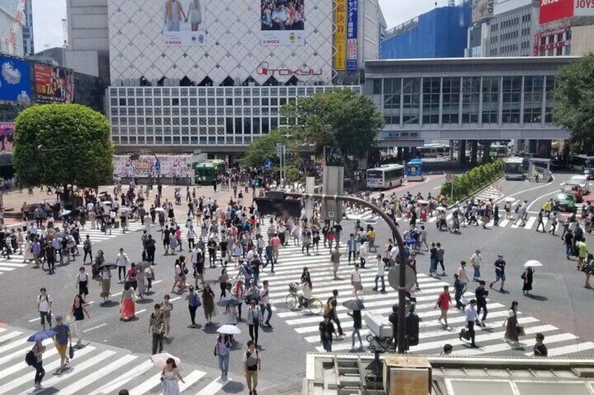 Shibuya Walking Tour in Anime, Fashion stores and Shrine in Tokyo
