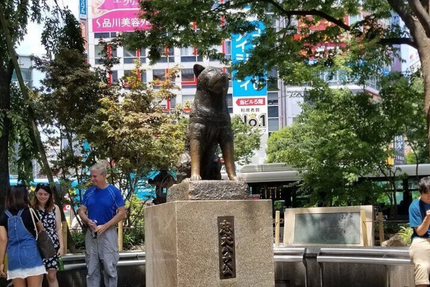 Shibuya Walking Tour in Anime, Fashion stores and Shrine in Tokyo