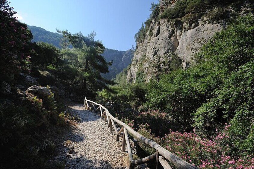 7-Hour Private Tour Agia Irini Gorge & Sougia Beach