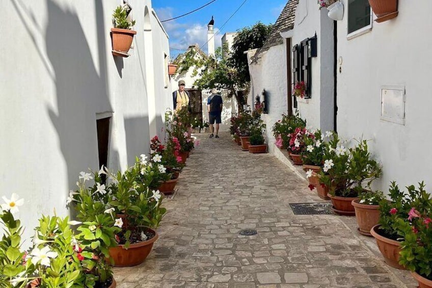 ALEBEROBELLO