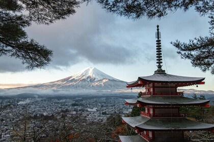 Excursión de un día al monte Fuji con coche privado y guía de habla inglesa