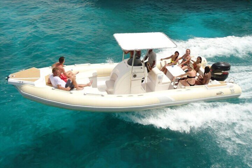 Speed Boat Dolphin Watching and Snorkeling Tour in Hurghada