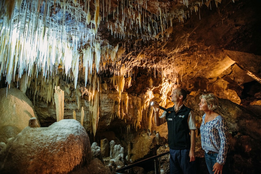 Lake Cave Fully-guided Tour