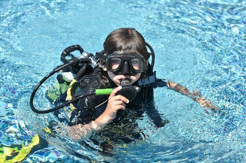 Diving with Dugongs and Turtles and Lunch in Marsa Mubarak
