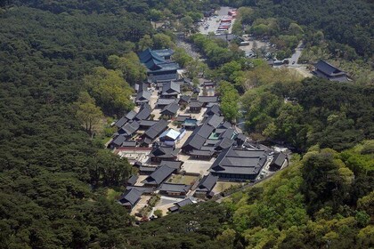 UNESCO Tongdosa Temple + Gourmet Eonyang Style Bulgogi Lunch