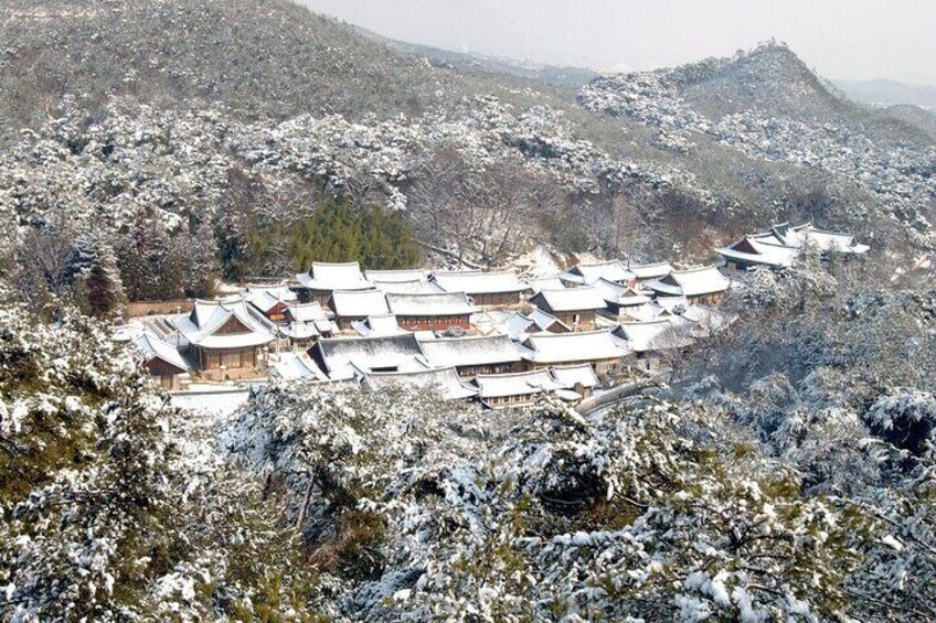 Private Tongdosa Temple Tour including Gourmet Eonyang Style Bulgogi Lunch