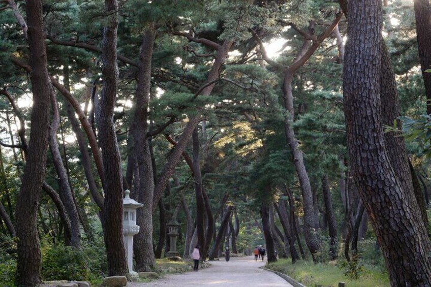 Private Tongdosa Temple Tour including Gourmet Eonyang Style Bulgogi Lunch