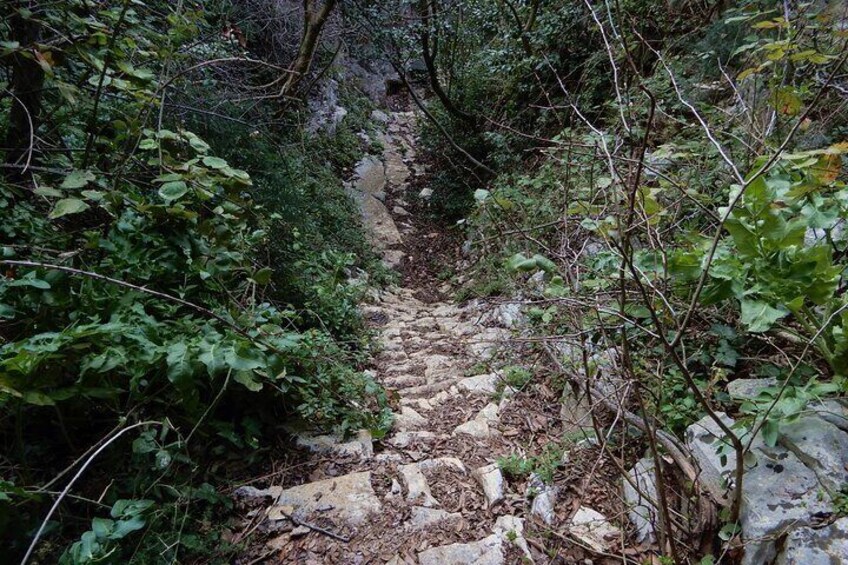 Pulo di Altamura: excursion in the Alta Murgia National Park