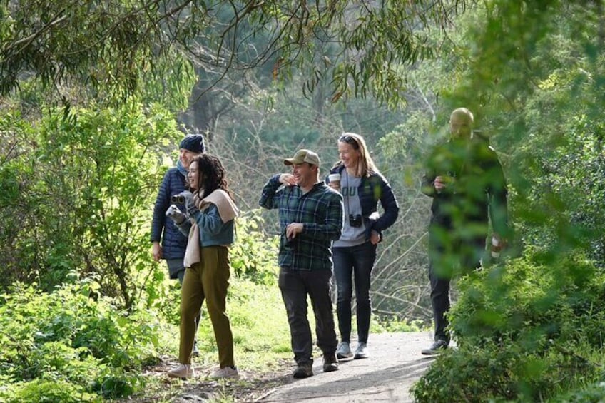 Blissful walk in Golden Gate Park.