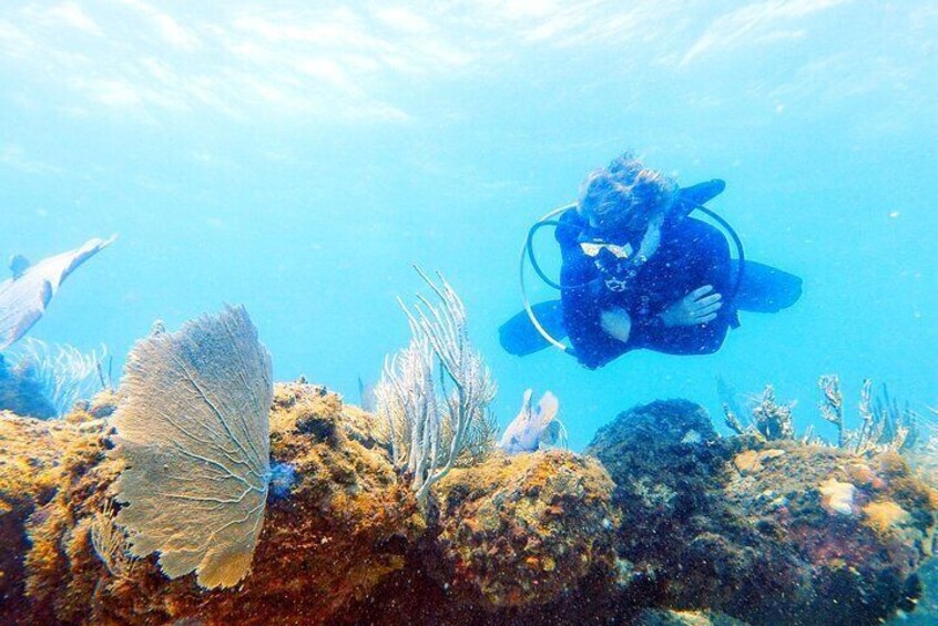 Island Wreck and Reef Scuba Excursion