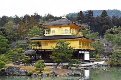 Half Day Visit of the Top 3 Temples in Kyoto