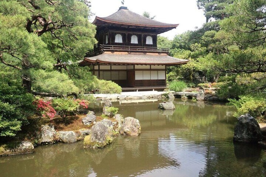 Kinkaku-ji, Ginkaku-ji, & Kiyomizu-dera Half Day Tour From Kyoto