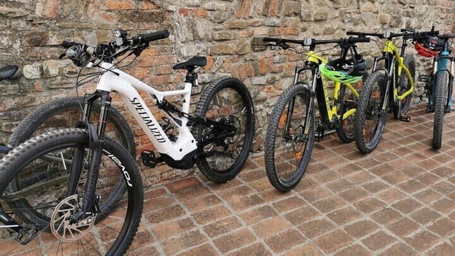 Ebike Tour in Modena with Parmigiano Reggiano and Balsamic Vinegar