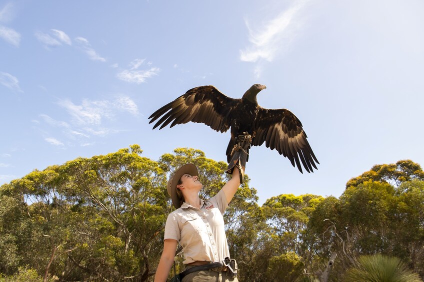 Kangaroo Island Sip & See Full Day Tour