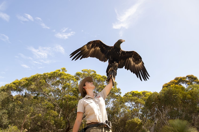 Kangaroo Island Sip & See Full Day Tour