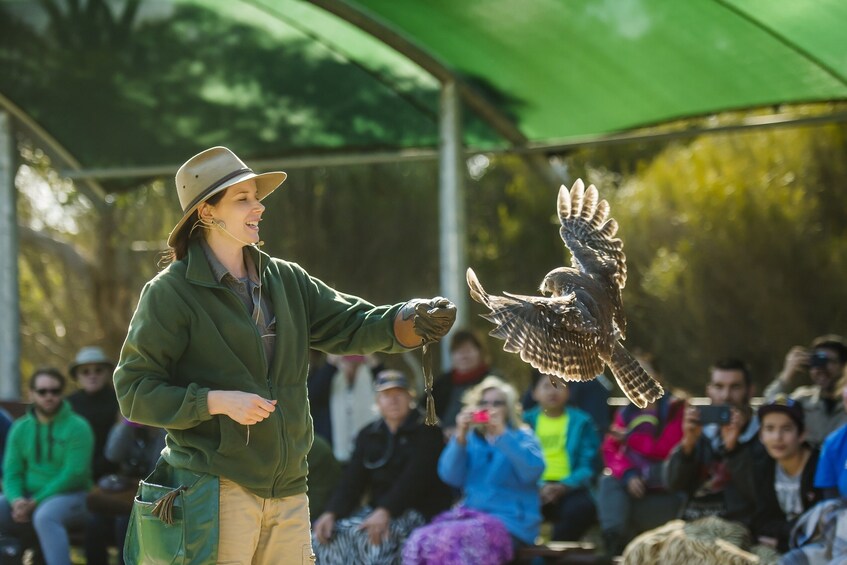 Kangaroo Island Sip & See Full Day Tour