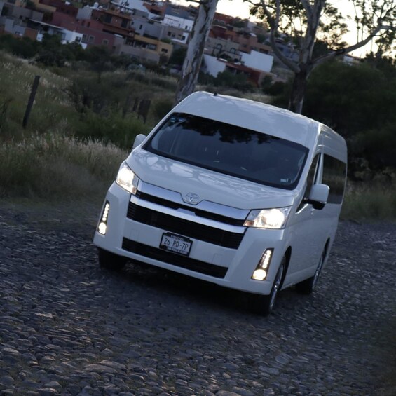 Picture 1 for Activity San Miguel de Allende: Transfer to Toyan Vineyards